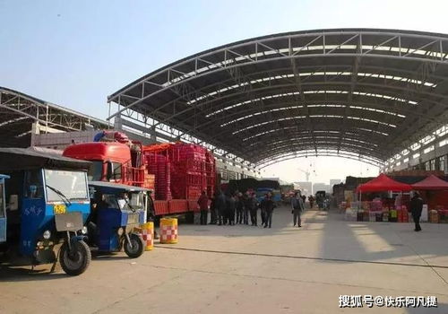 農產品批發行業數字化經營之路 食用農產品初加工的轉型與挑戰